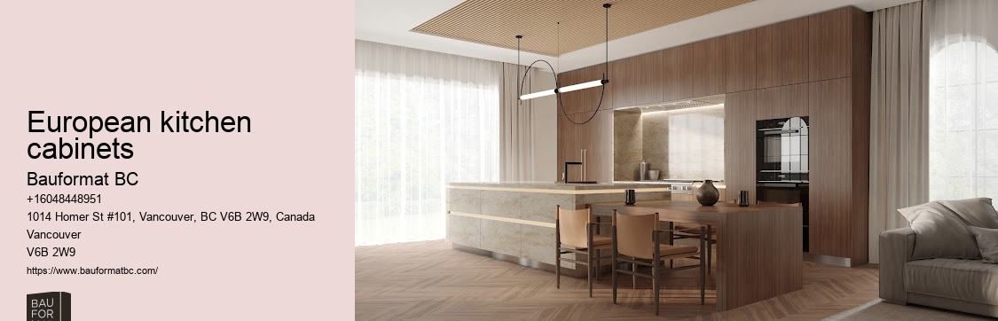 Modern kitchen aesthetics