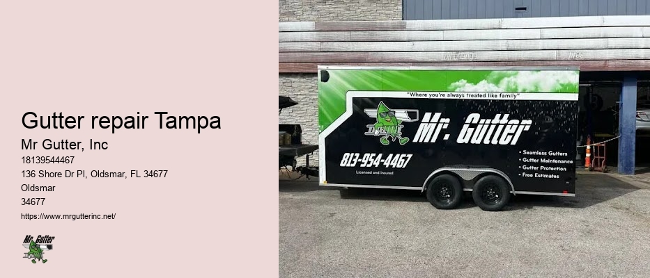 Gutter repair Tampa