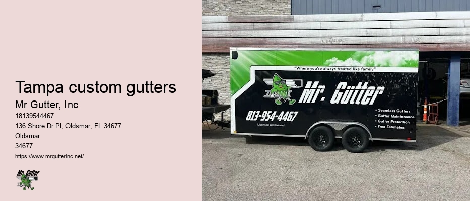 Tampa custom gutters