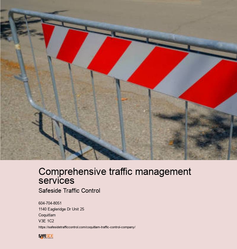 Proactive traffic management services