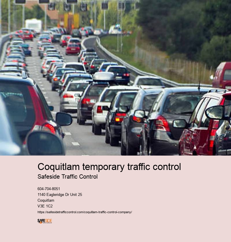 Expert traffic management services