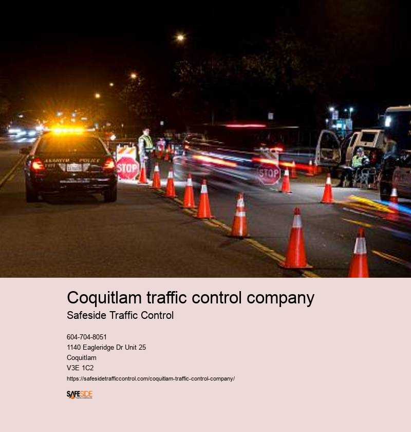 Customized traffic control solutions