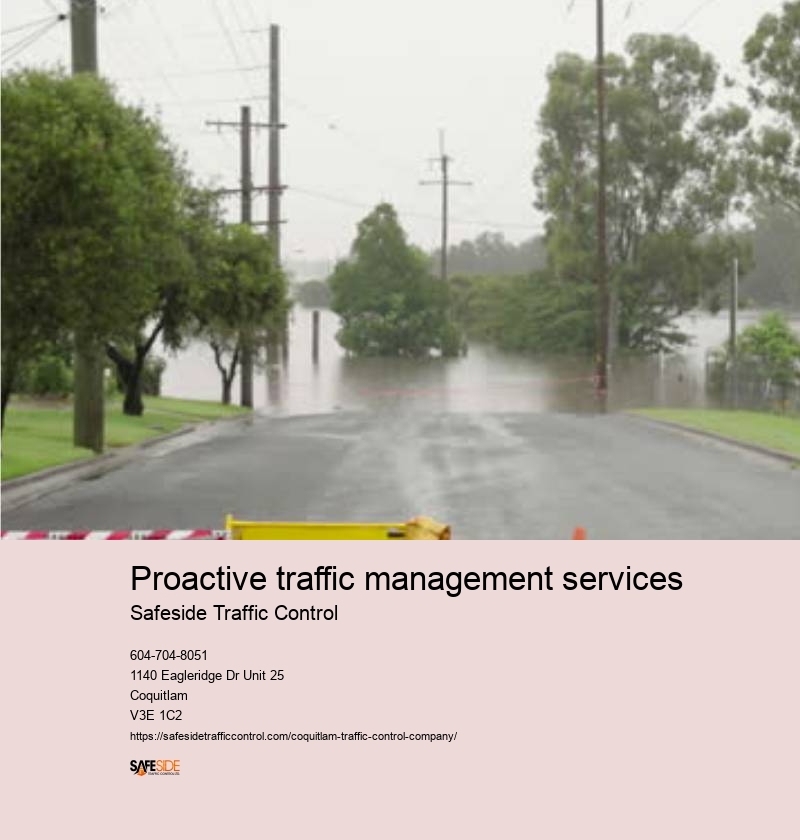 Coquitlam Roadway Safety Management Solutions
