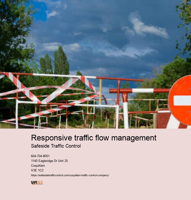 Comprehensive traffic management services