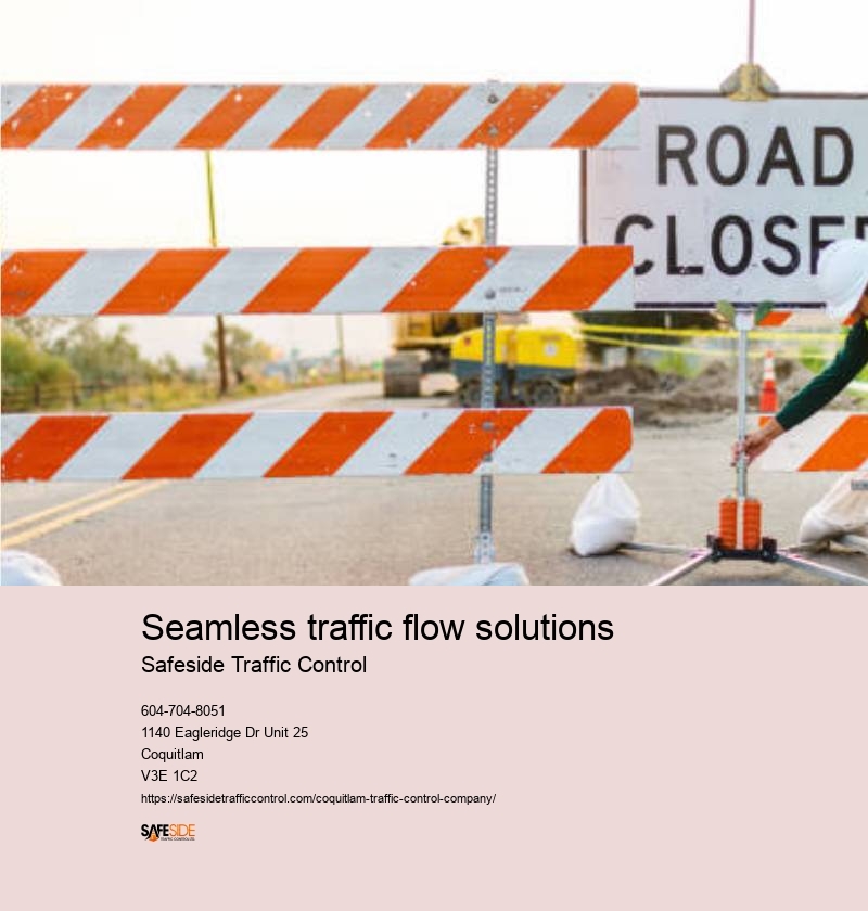 Customized traffic control solutions