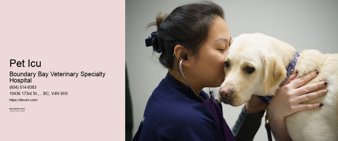 Pet Icu Surrey