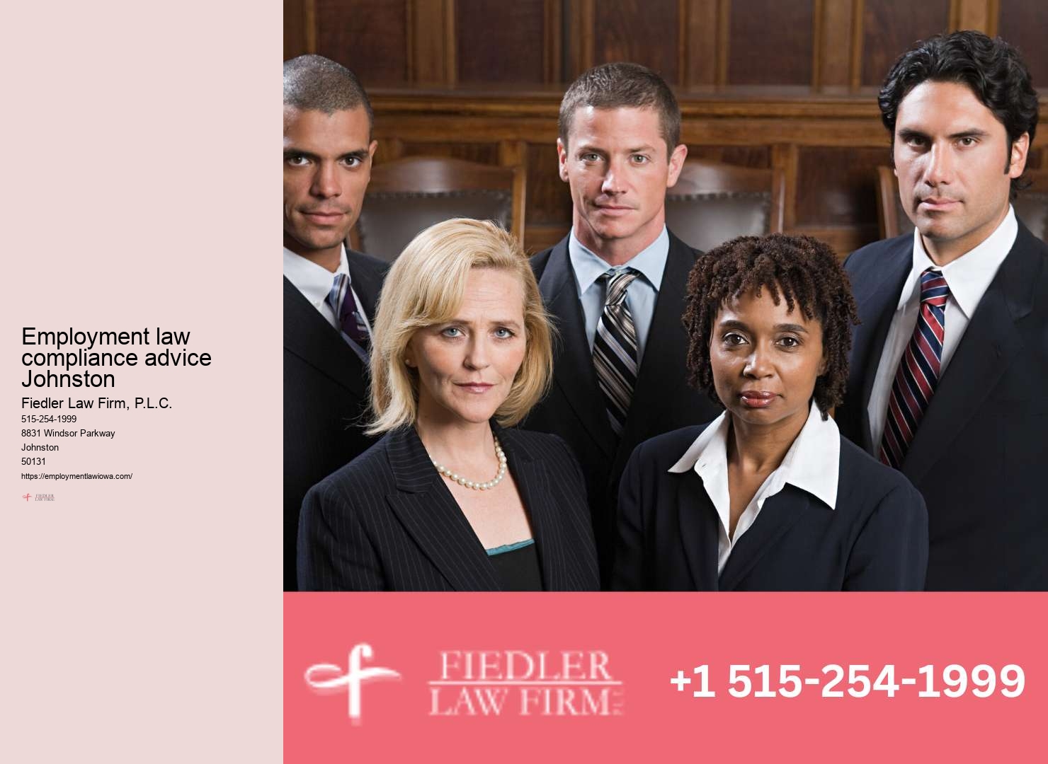 Premier Government Employment Lawyer Johnston