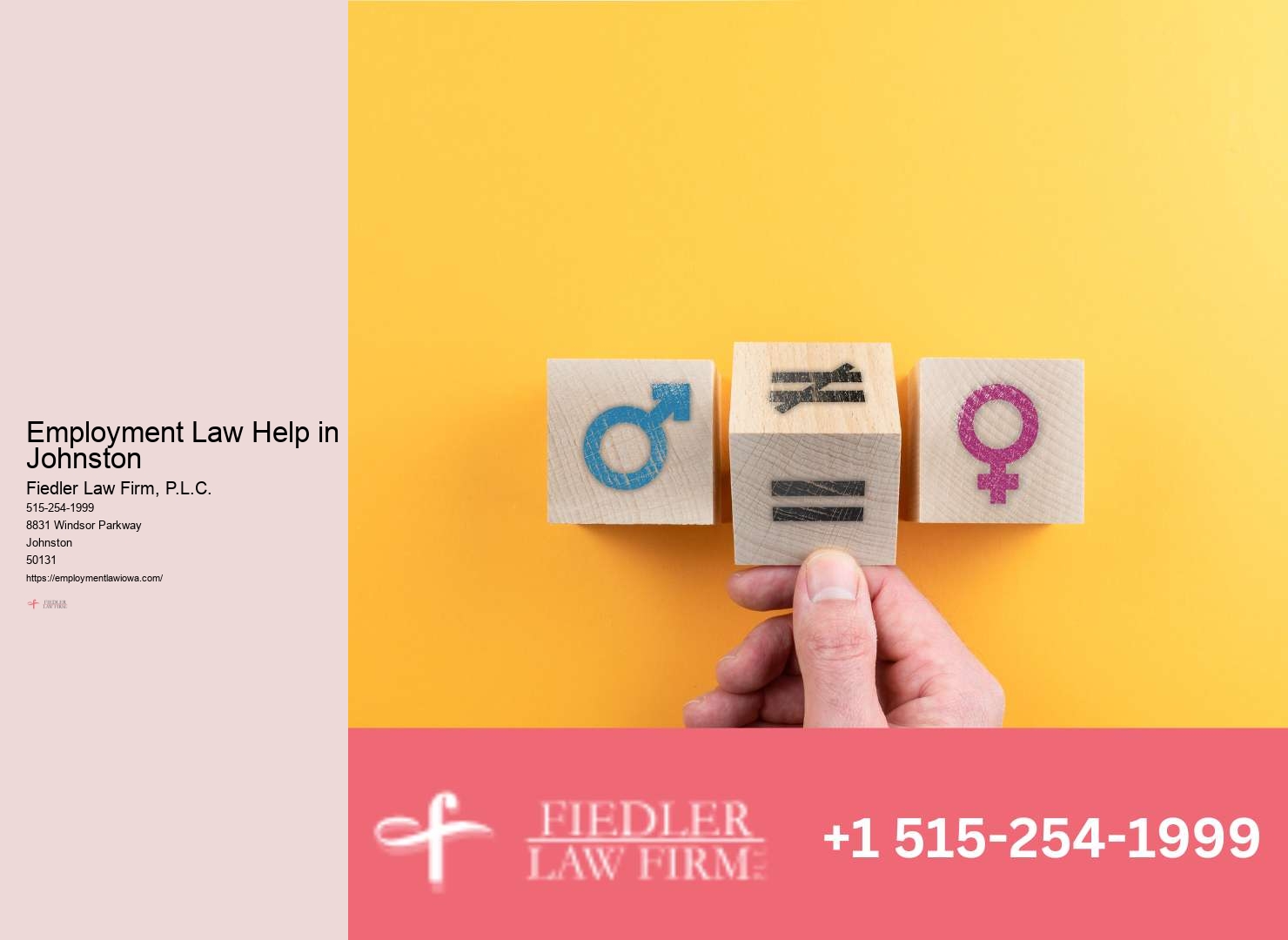 Johnston Employment Law Consultation Firm Advisory Expertise