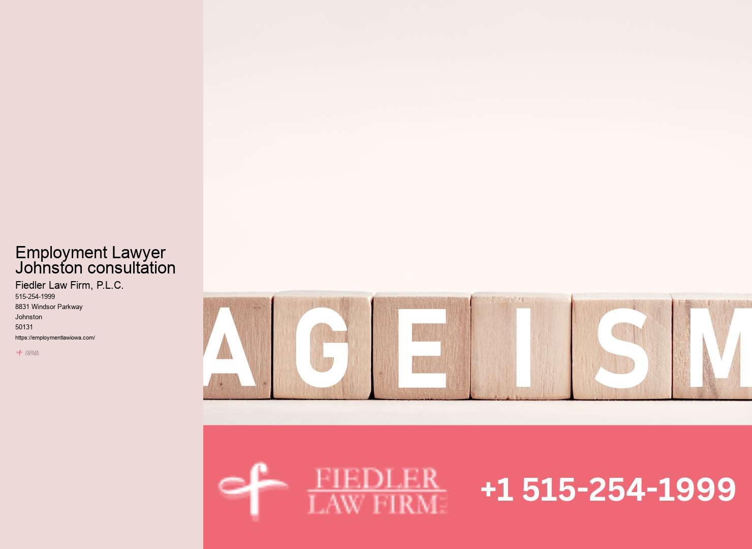 Employment Lawyer in Johnston