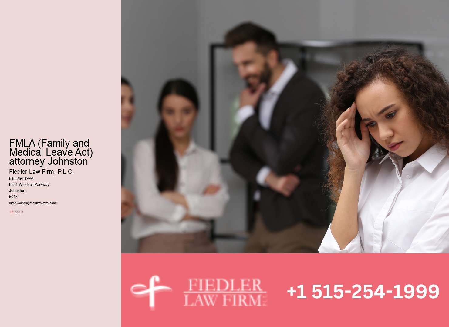 Professional Employment Lawyer Johnston