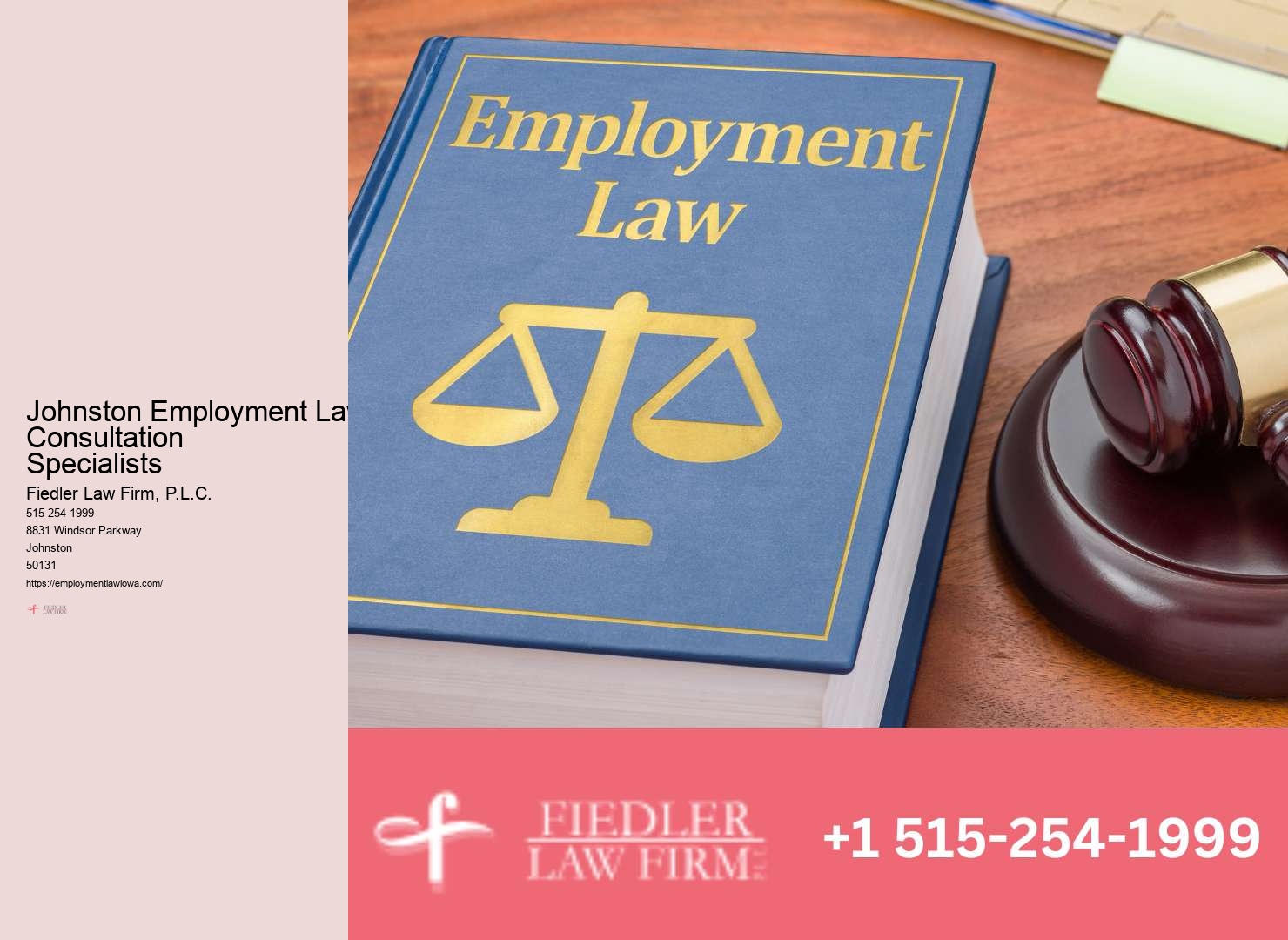 Expert Johnston Employment Lawyer Firm