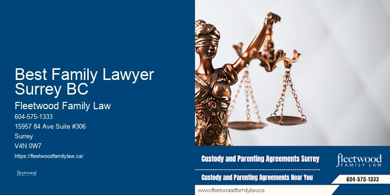 Family Law Case Representation Best Family Lawyer Surrey BC BC