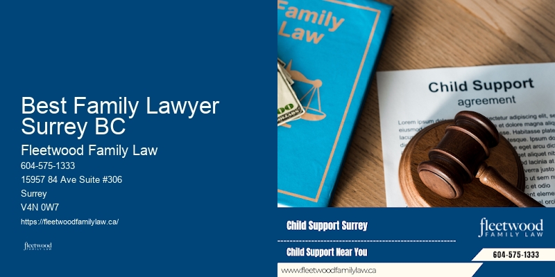 Custody and Access Legal Counsel Best Family Lawyer Surrey BC BC