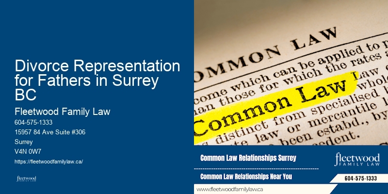 Divorce Representation for Fathers in Surrey BC BC Divorce Financial Planning Lawyer