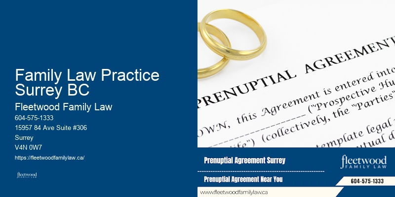 Family Law Practice Surrey BC BC Domestic Violence Lawyer