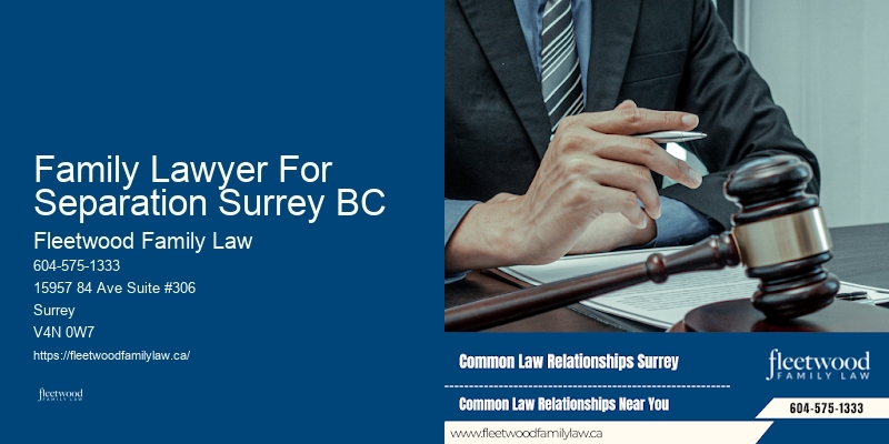 Family Law Appeals Experts Family Lawyer For Separation Surrey BC BC
