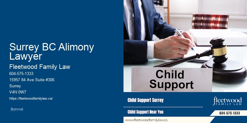 Family Law Litigation Surrey BC Alimony Lawyer BC