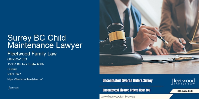 Family Law Representation Near Me Surrey BC Child Maintenance Lawyer BC