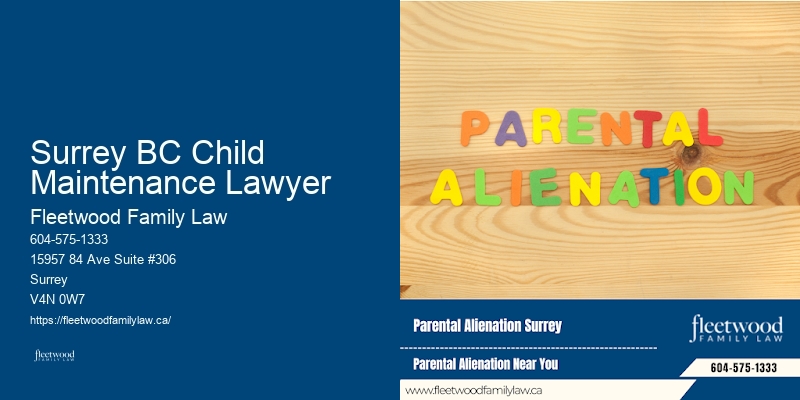 Child Advocacy and Legal Representation Surrey BC Child Maintenance Lawyer BC