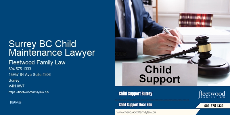 Family Law and Mediation Surrey BC Child Maintenance Lawyer BC
