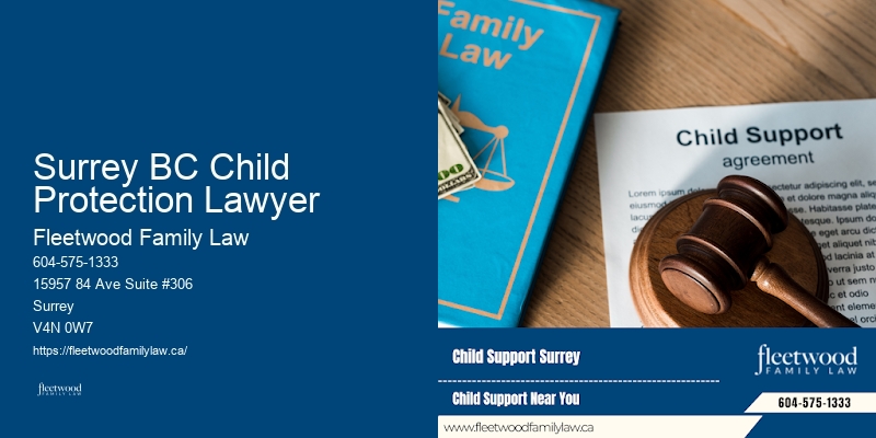 High Conflict Divorce Management Surrey BC Child Protection Lawyer BC