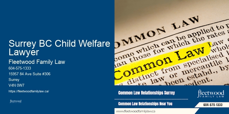 Top-Rated Family Lawyer Surrey BC Child Welfare Lawyer BC