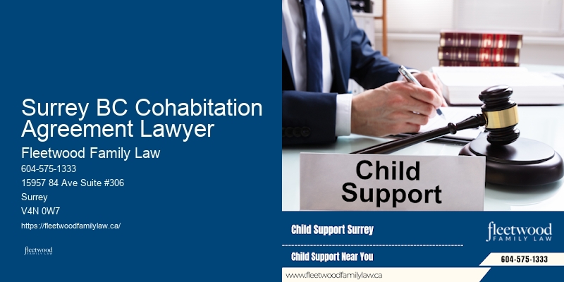 Surrey BC Cohabitation Agreement Lawyer BC Alimony Lawyer