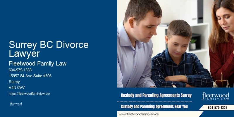 Domestic Violence Lawyer Surrey BC Divorce Lawyer BC