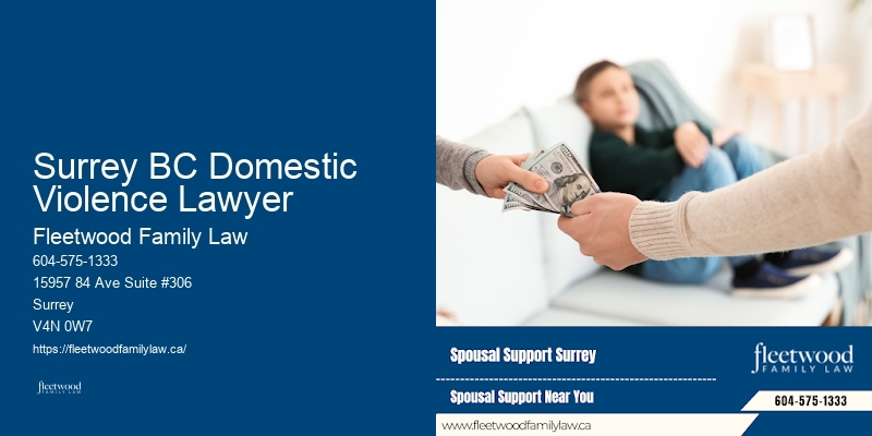 Family asset division attorney Surrey BC Domestic Violence Lawyer BC