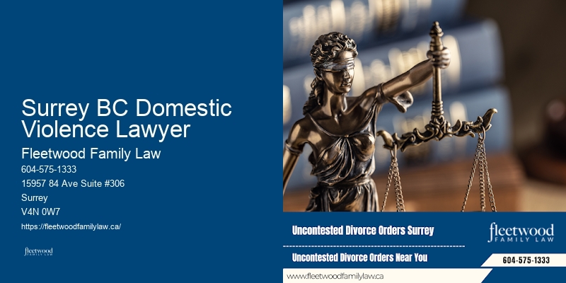 Surrey BC Domestic Violence Lawyer BC Divorce and Custody Lawyer