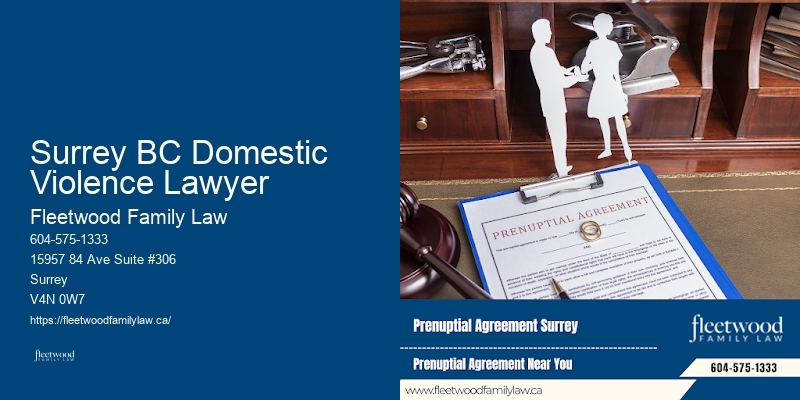 Surrey BC Domestic Violence Lawyer BC Child Support Specialist