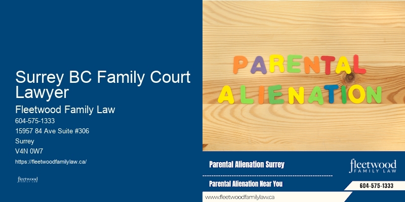 Family Law Consultation Services Surrey BC Family Court Lawyer BC