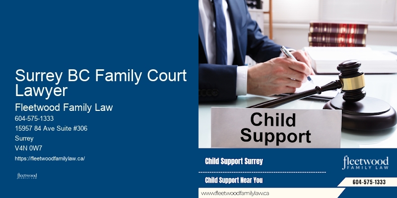 Child Custody Attorney in Surrey BC Family Court Lawyer BC