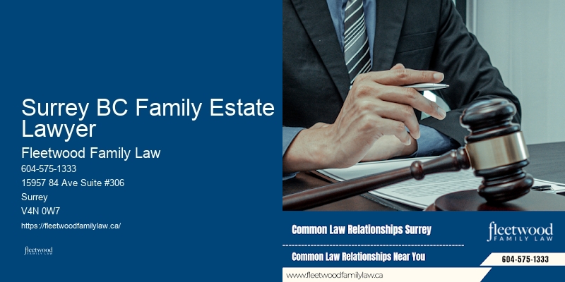 Surrey BC Family Estate Lawyer BC Family Court Lawyer