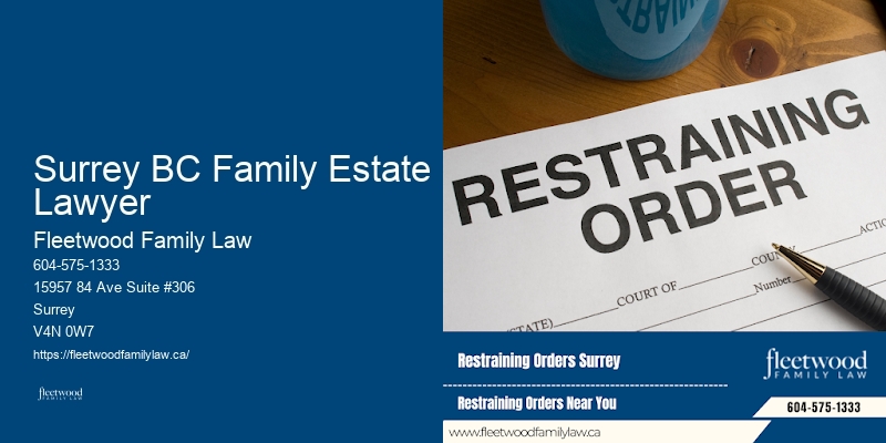Surrey BC Family Estate Lawyer BC Foster Care Lawyer