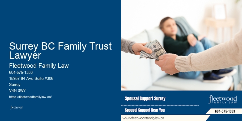Surrey BC Family Trust Lawyer BC Family Law Advocacy