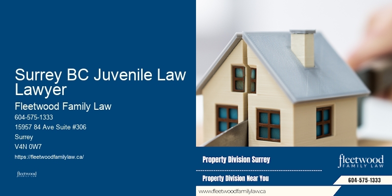 Affordable Family Lawyer Surrey BC Juvenile Law Lawyer BC