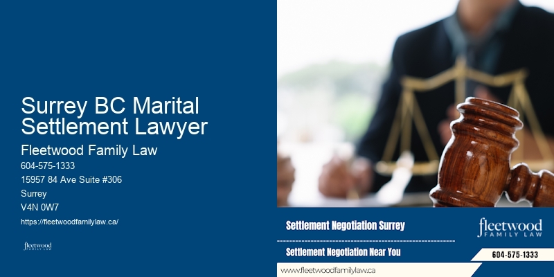 Surrey BC Marital Settlement Lawyer BC Parenting Plan Lawyer