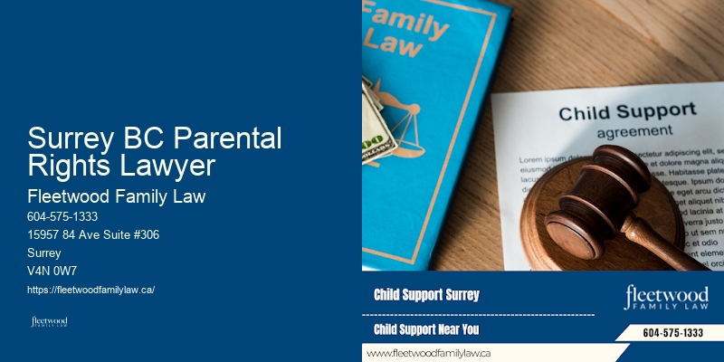 Family Law Specialist Surrey BC Parental Rights Lawyer BC