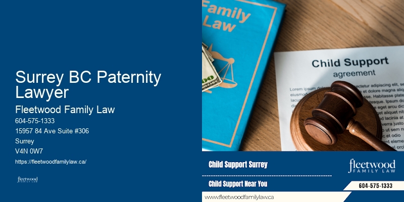 Child Support Enforcement Lawyer Surrey BC Paternity Lawyer BC