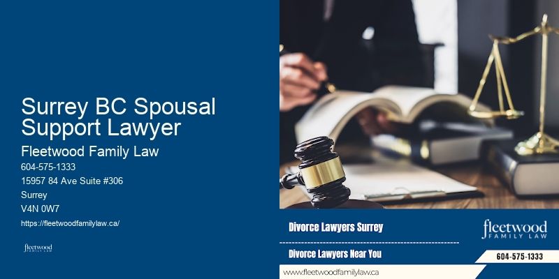Surrey BC Spousal Support Lawyer BC Child Rights Lawyer