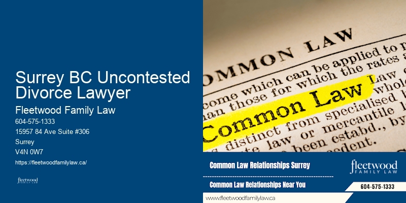 Family Law Case Management Surrey BC Uncontested Divorce Lawyer BC