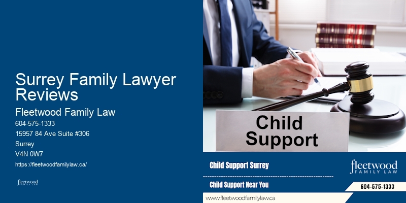Surrey Family Lawyer Reviews BC Top Family Law Attorneys
