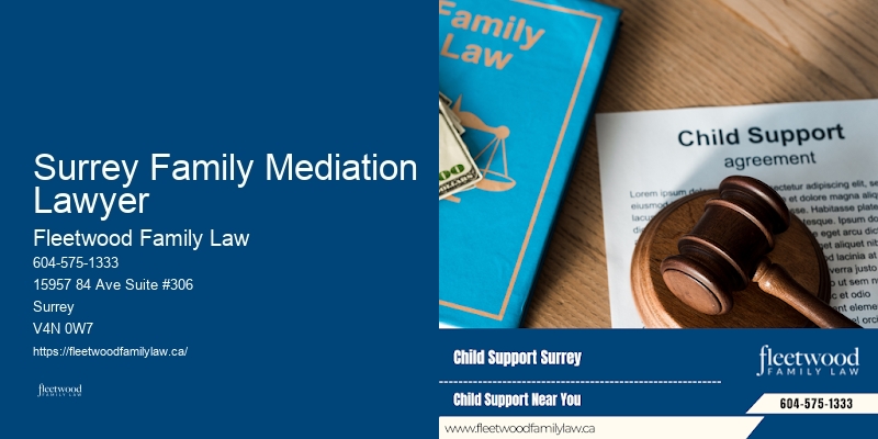 Surrey Family Mediation Lawyer BC Family Law Solutions Expert