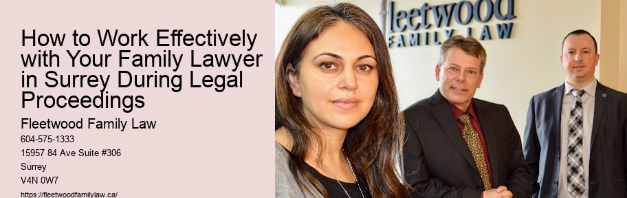 How to Work Effectively with Your Family Lawyer in Surrey During Legal Proceedings 