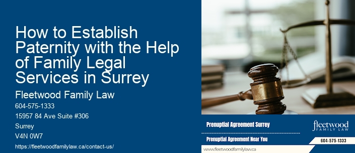 How to Establish Paternity with the Help of Family Legal Services in Surrey
