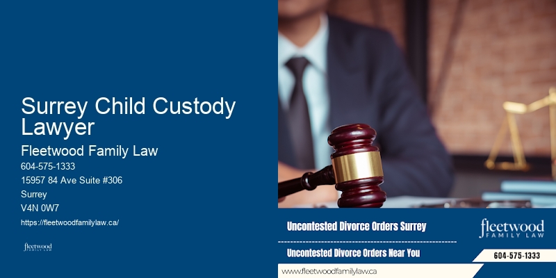 Surrey Child Custody Lawyer