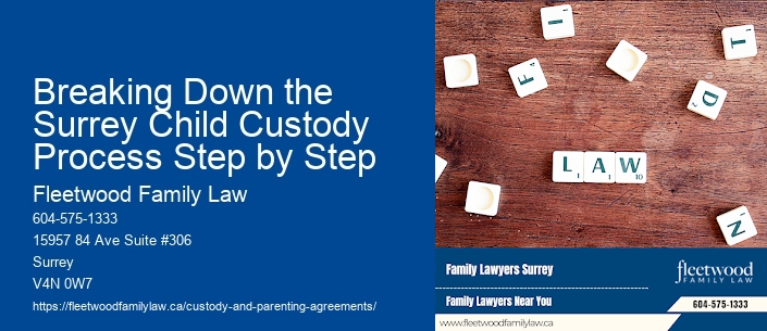 Breaking Down the Surrey Child Custody Process Step by Step