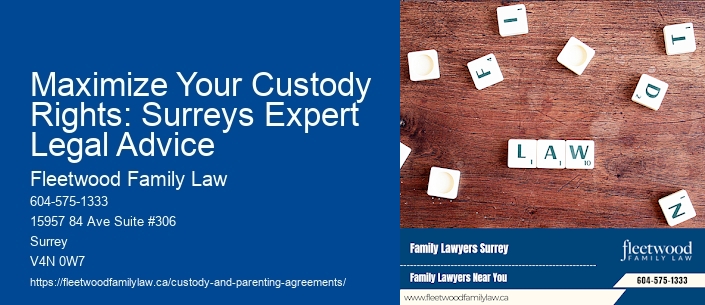 Maximize Your Custody Rights: Surreys Expert Legal Advice
