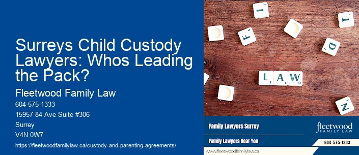 Surreys Child Custody Lawyers: Whos Leading the Pack?
